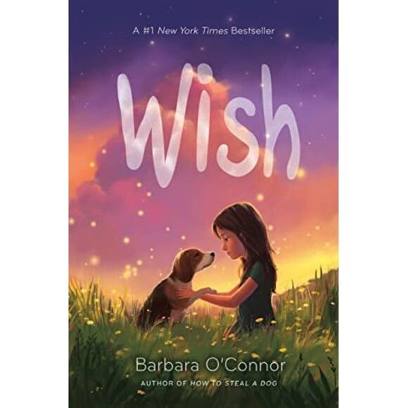 Wish -- Barbara O'Connor - Picture 2 of 3